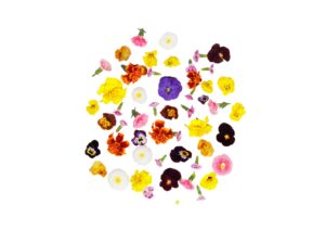 Mix box kwiatów classic